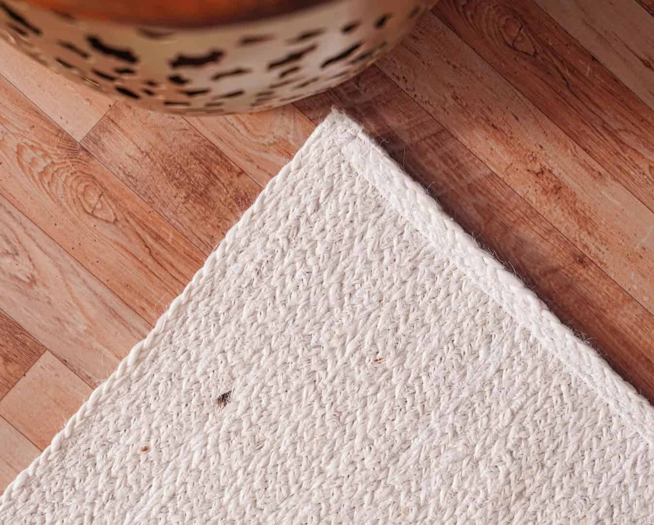 Hand Braide Retangle Jute Rug White color For Living Room Area Rug  - Image 4