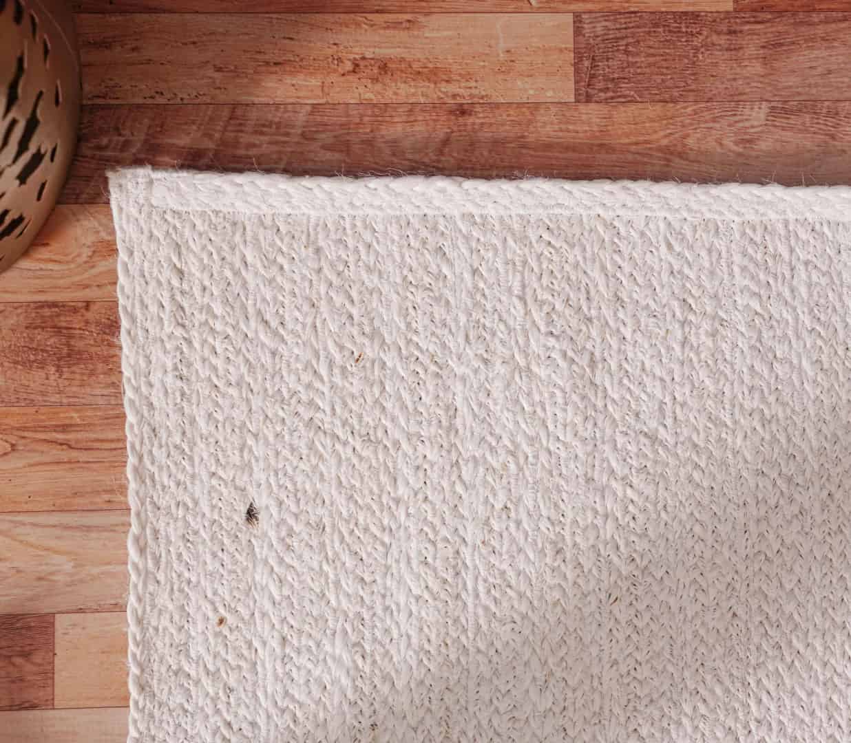 Hand Braide Retangle Jute Rug White color For Living Room Area Rug  - Image 5