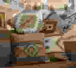 image-0
