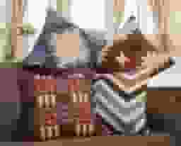 image-0