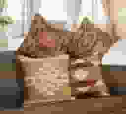 image-0