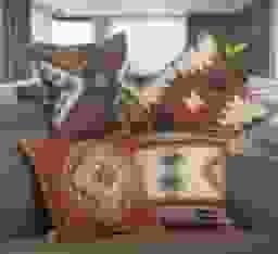 image-0