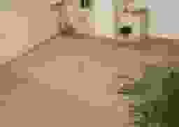 image-0