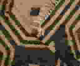 image-4