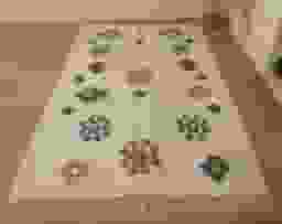image-0