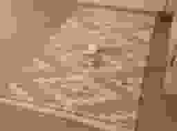 image-0