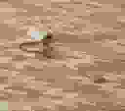 image-6