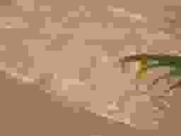 image-0