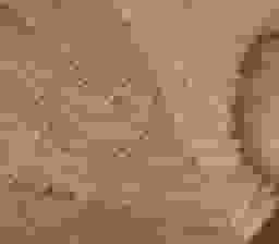 image-7