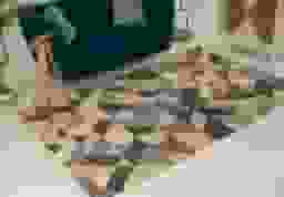 image-0