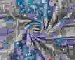 image-5