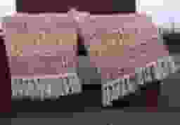 image-0