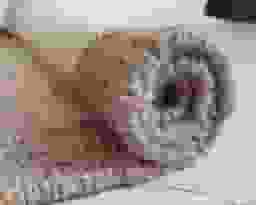 image-4