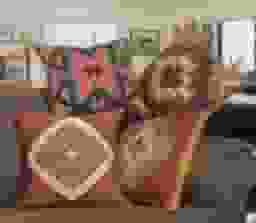 image-0