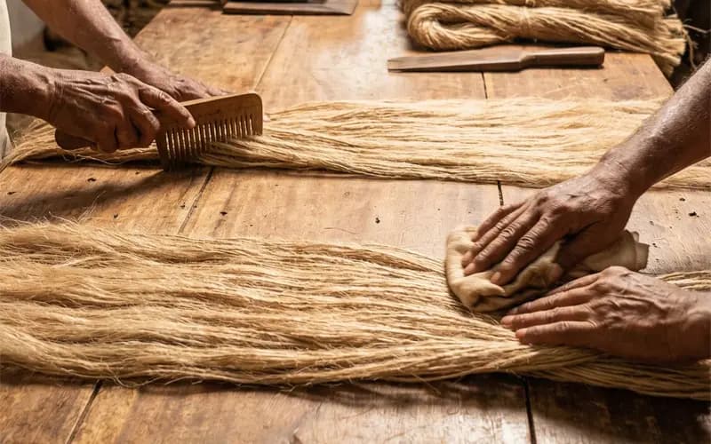 Choosing Premium Jute Fiber